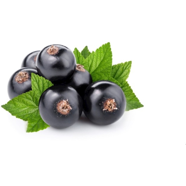 blackcurrant
