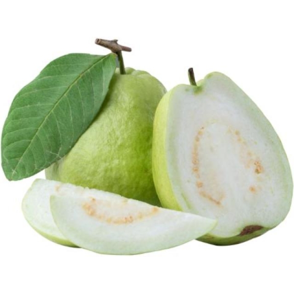 Guava