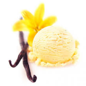 vanilla bean ice cream